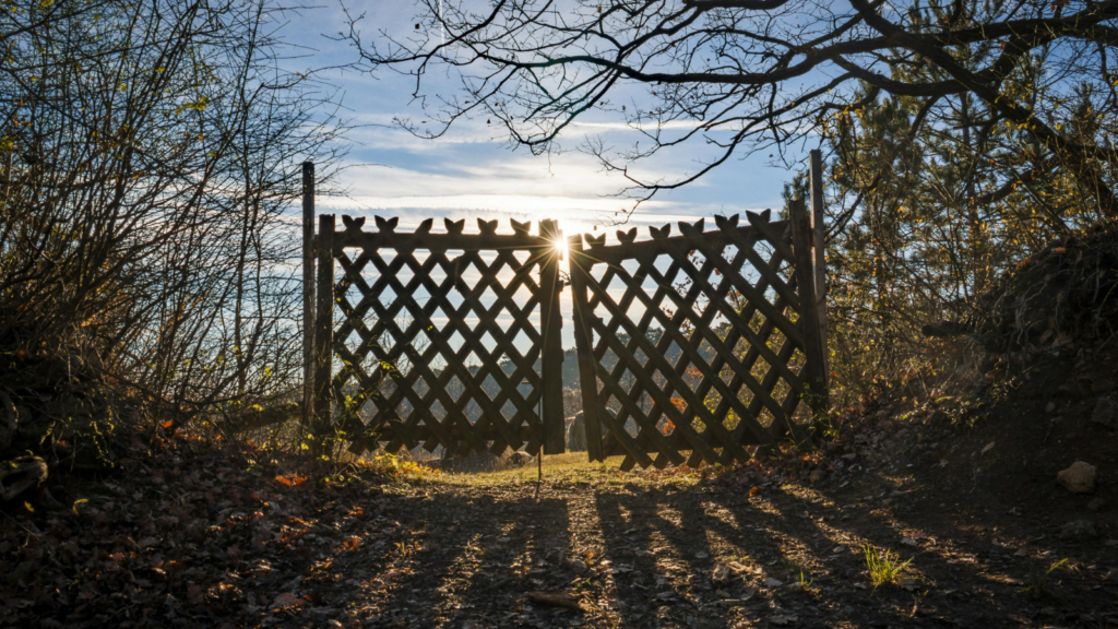 gate designs wood